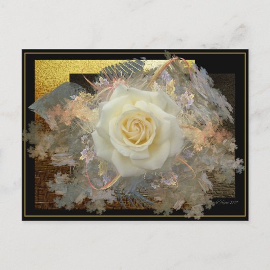 Kus van een Roos Briefkaart (Voorkant)