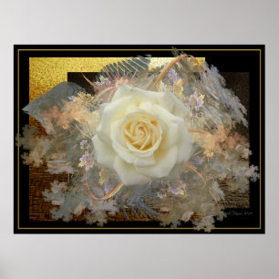 Kus van een Roos Poster