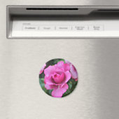Kus van een roosmagneet magneet (Insitu (Vaatwasser))