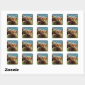 Kus van Highland-koe Vierkante Sticker (Vel)