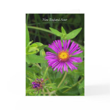 Kus zonder een Hug... Gardening Quote