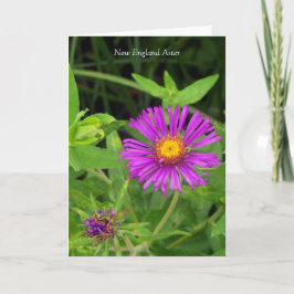 Kus zonder een Hug... Gardening Quote Kaart