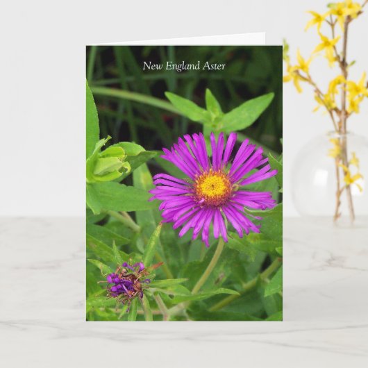 Kus zonder een Hug... Gardening Quote Kaart (Gele Bloem)