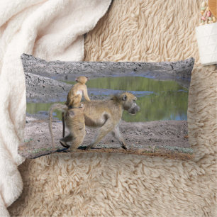 KUSSEN, "BABY MONKEY RIDING ON MAMA MONKEY'S BACK" KUSSEN