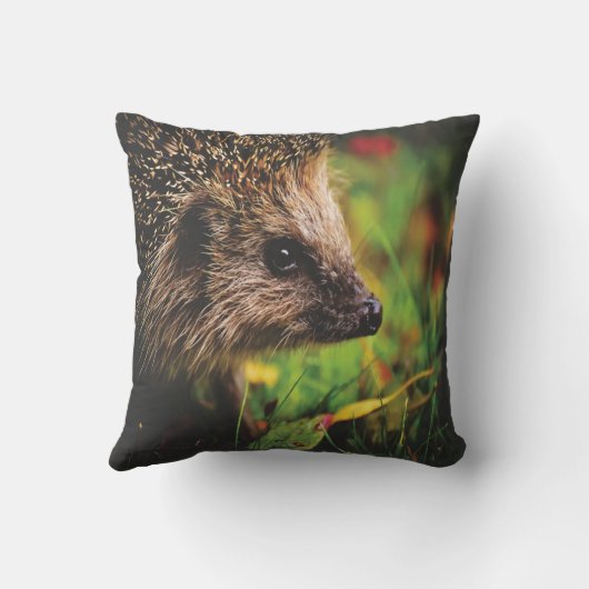 Kussen dier egel (Achterkant)