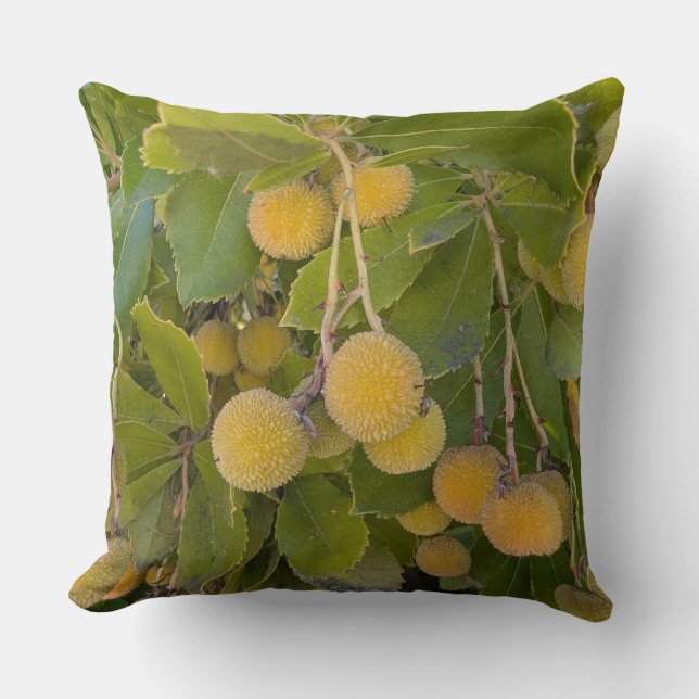 Kussen-Florale serie Aardbeienboom Fruit-Kussen  Kussen (Voorkant)