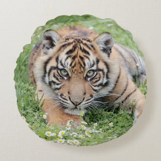 Kussen Foto tijger kat, dieren 01 . rond kussen