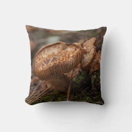 Kussen, foto van paddenstoelen kussen