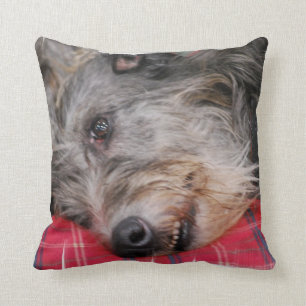 kussen - Gepersonaliseerd