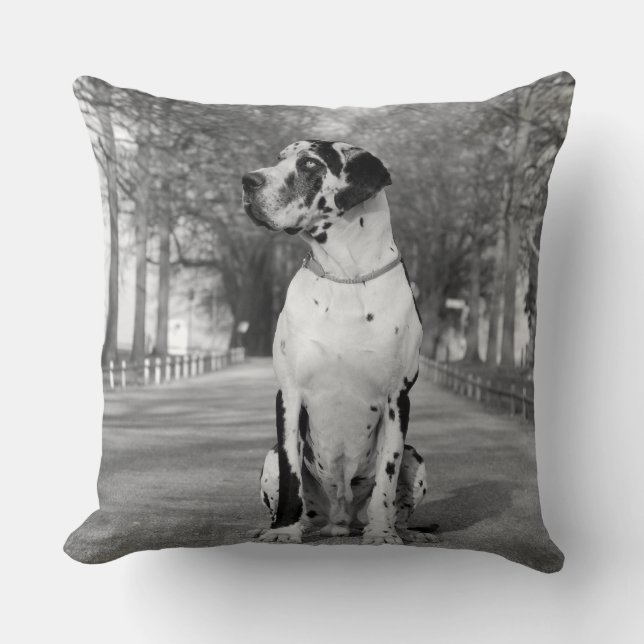 Kussen Great Dane (Voorkant)