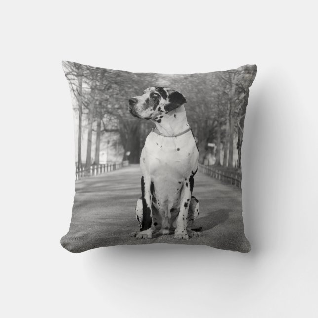 Kussen Great Dane (Voorkant)