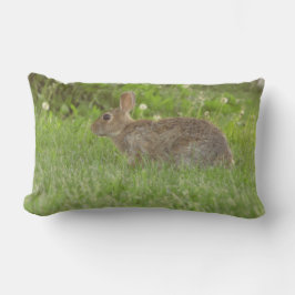 Kussen: het leven zachtheid kussen