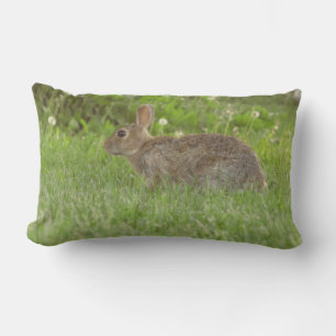 Kussen: het leven zachtheid kussen