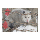 Kussen Hoesje Opossum Natuur Kussensloop (Achterkant)