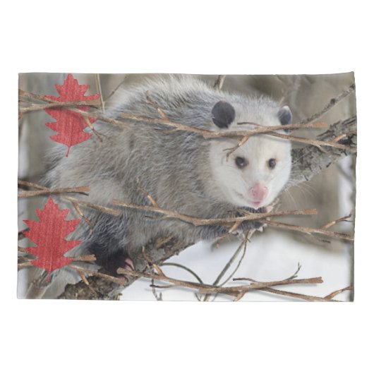 Kussen Hoesje Opossum Natuur Kussensloop (Achterkant)