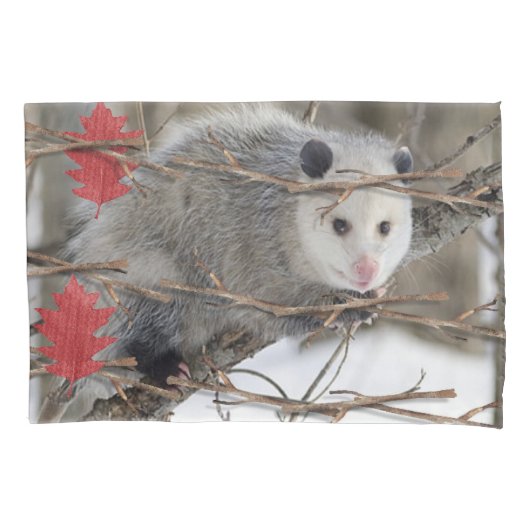 Kussen Hoesje Opossum Natuur Kussensloop (Voorkant)