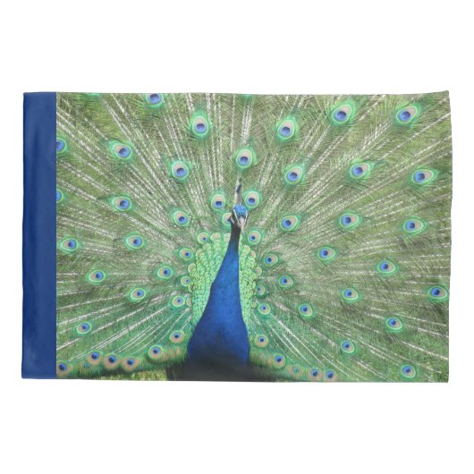 Kussen Hoesjes - Proud Peacock Kussensloop (Achterkant)