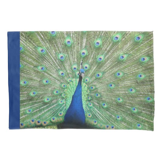 Kussen Hoesjes - Proud Peacock Kussensloop (Voorkant)