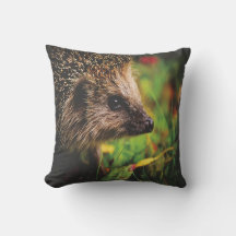 Kussen in de vorm van een egel