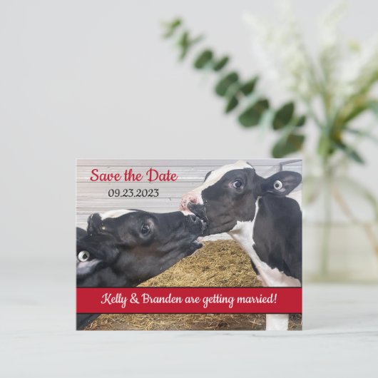 Kussen Kalveren Bruiloft Save the Date Briefkaart (Staand voorkant)