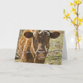 Kussen Koe Verjaardag Kaart (Gele Bloem)