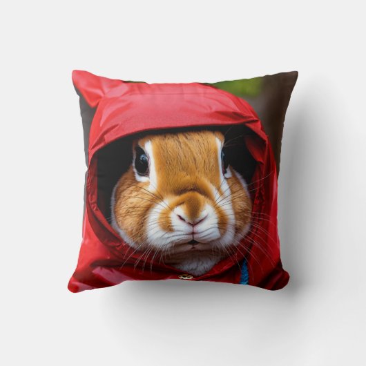 kussen met rapit (Achterkant)