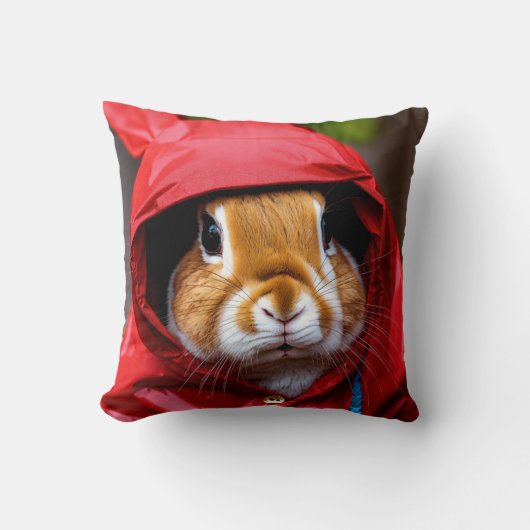 kussen met rapit (Voorkant)