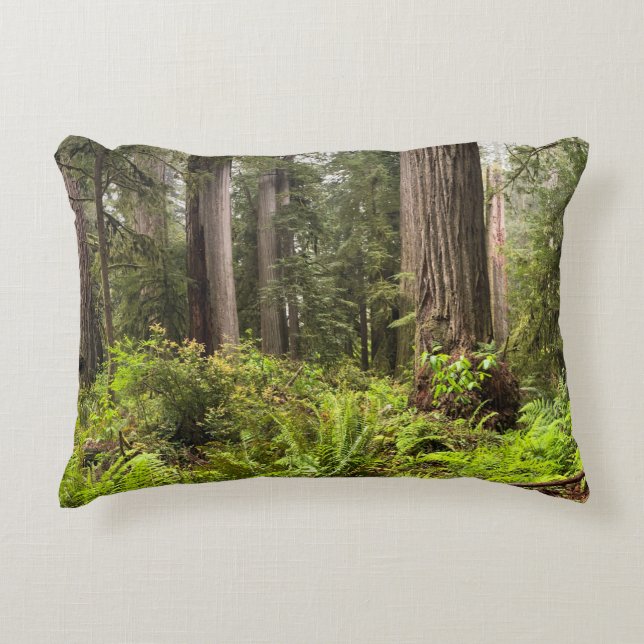 Kussen met Redwoods Bomen (Voorkant)