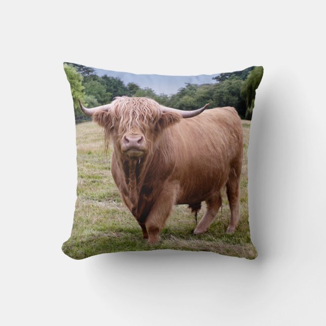 Kussen met Schotse Hooglander Koe (Voorkant)