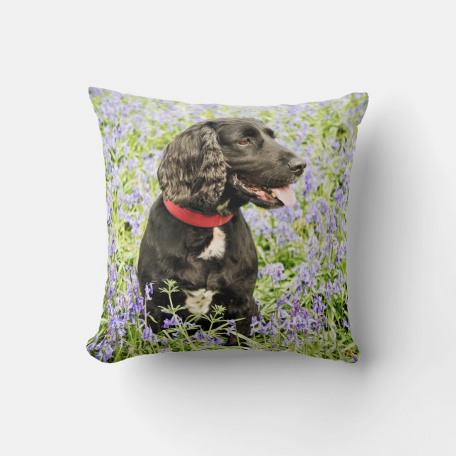 kussen met zwarte spaniel in blauwriemen (Voorkant)