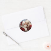 Kussen Mr en Mrs Sinterklaas Ronde Sticker (Envelop)