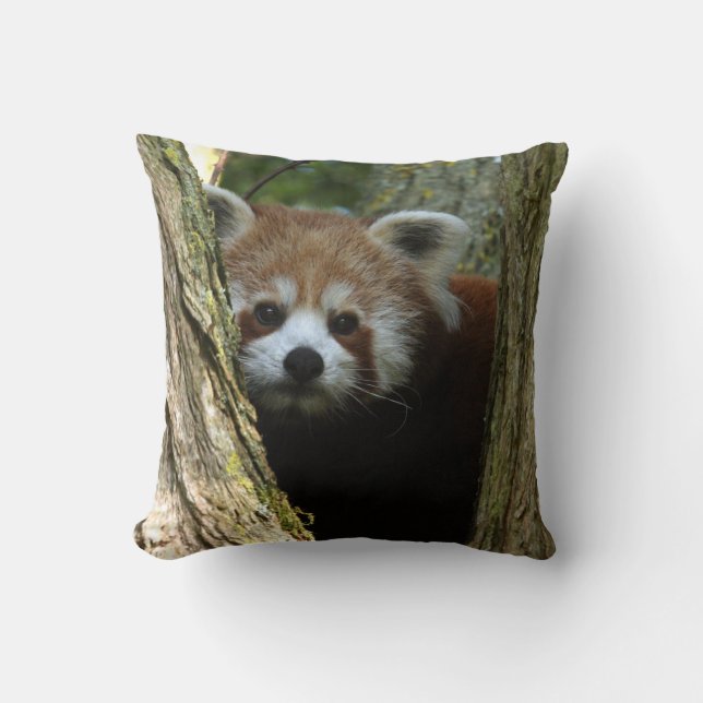 Kussen - rode panda (Voorkant)