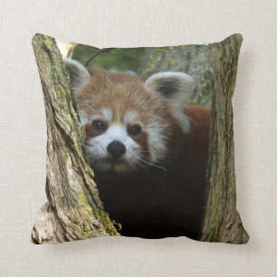 Kussen - rode panda