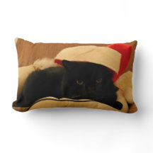 Kussen Sam de Kersteditie Kat