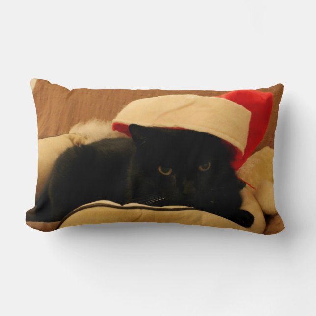 Kussen Sam de Kersteditie Kat (Voorkant)