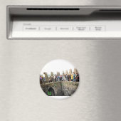 Kussen van de Blarney Stroon Magneet (Insitu (Vaatwasser))