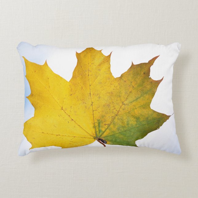 Kussen voor elke kamer (Voorkant)