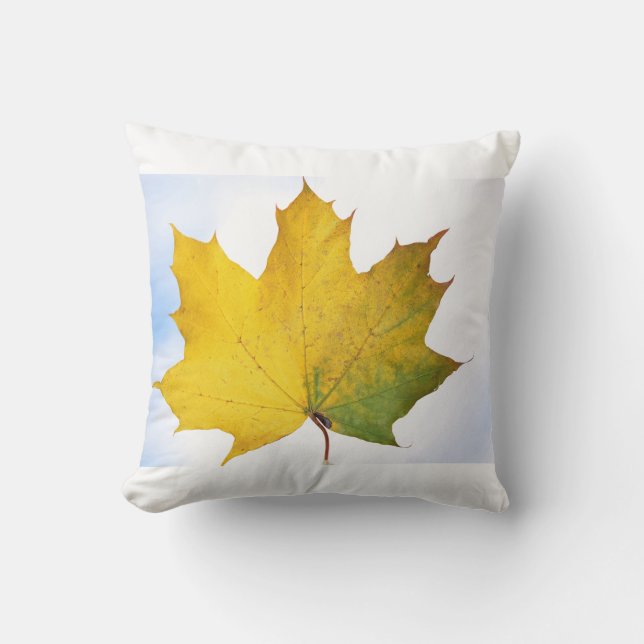 Kussen voor elke kamer (Voorkant)