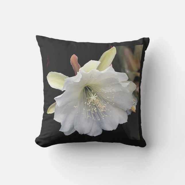 Kussen voor gebruik buitenshuis 16 x 16 (Voorkant)