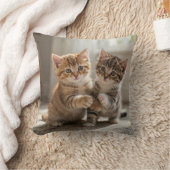 Kussen voor katten (Deken)