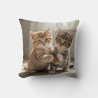 Kussen voor katten