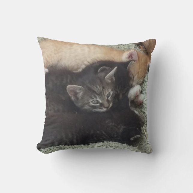 kussen voor schattige Kittens (Voorkant)
