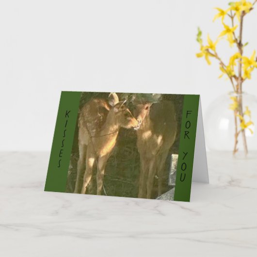 **KUSSEN VOOR U OP UW VERJAARDAG" KAART (Gele Bloem)