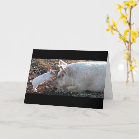 kussend biggetje kaart (Gele Bloem)