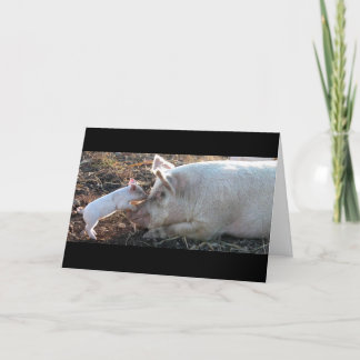 kussend biggetje kaart