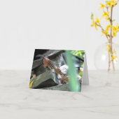 Kussende Aardeekhoorns Kaart (Gele Bloem)