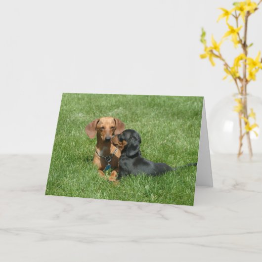 Kussende Mama Kaart (Gele Bloem)