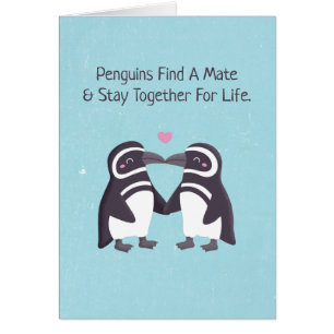 Kussende Pinguïns, Grappig Jij Bent Mijn Pinguïn E