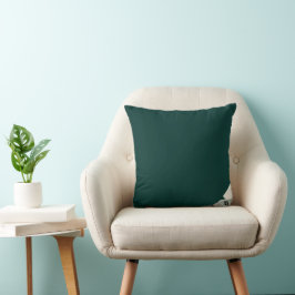 Kussenhoes Abstracte Trend Interieur Decoratie Zwa Kussen