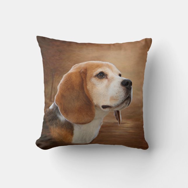 KUSSENS BEAGLE (Voorkant)